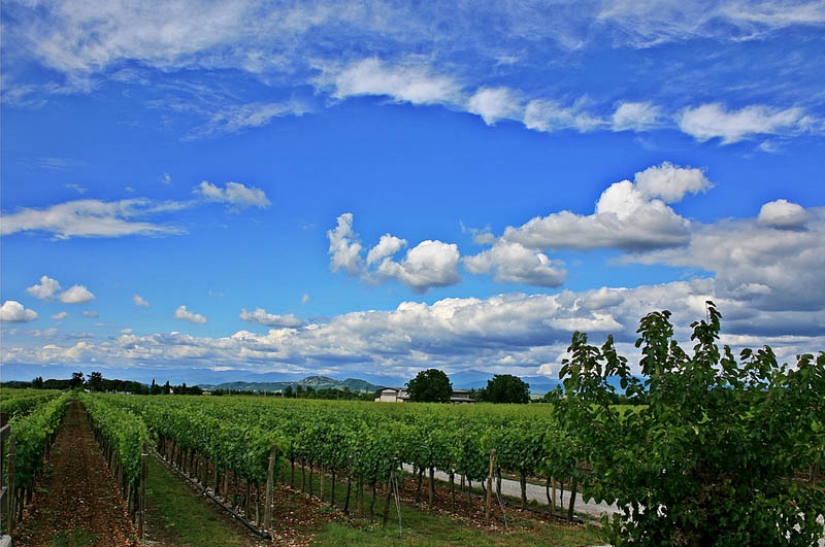 35 most beautiful vineyards in the world 35 most beautiful vineyards in the world