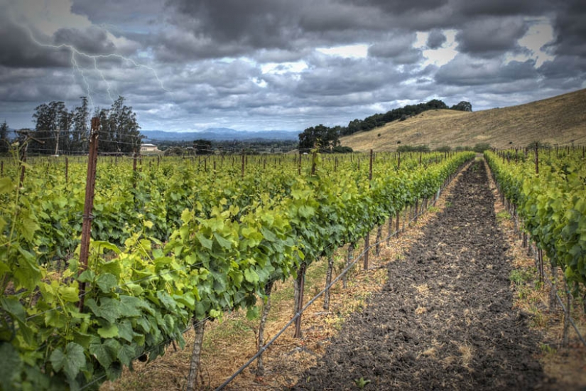 35 most beautiful vineyards in the world 35 most beautiful vineyards in the world