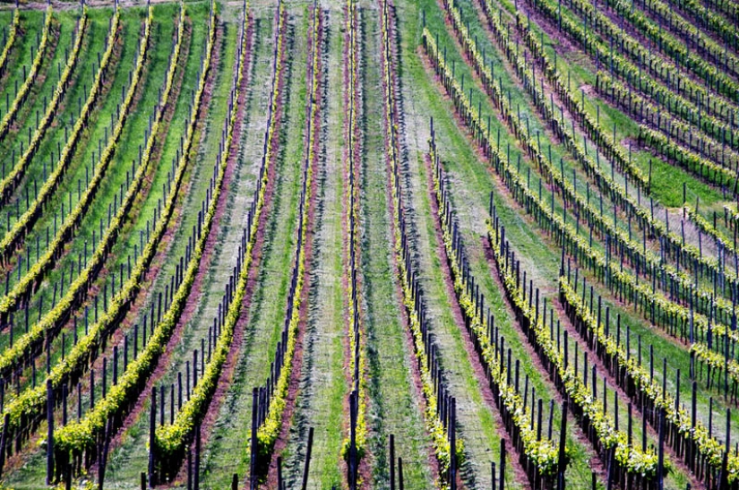35 most beautiful vineyards in the world 35 most beautiful vineyards in the world