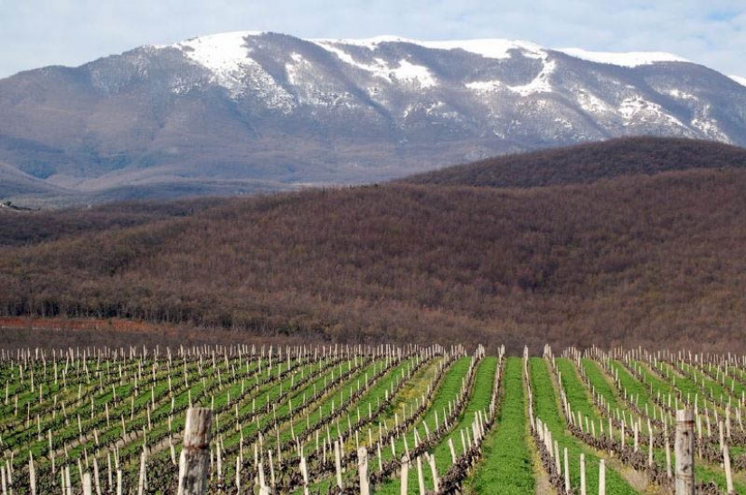 35 most beautiful vineyards in the world 35 most beautiful vineyards in the world