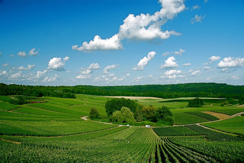 35 most beautiful vineyards in the world 35 most beautiful vineyards in the world