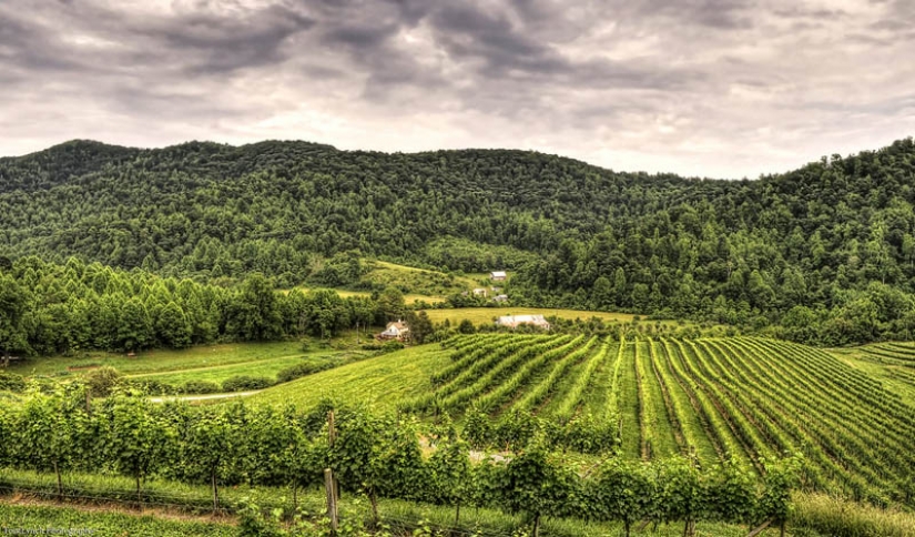 35 most beautiful vineyards in the world 35 most beautiful vineyards in the world