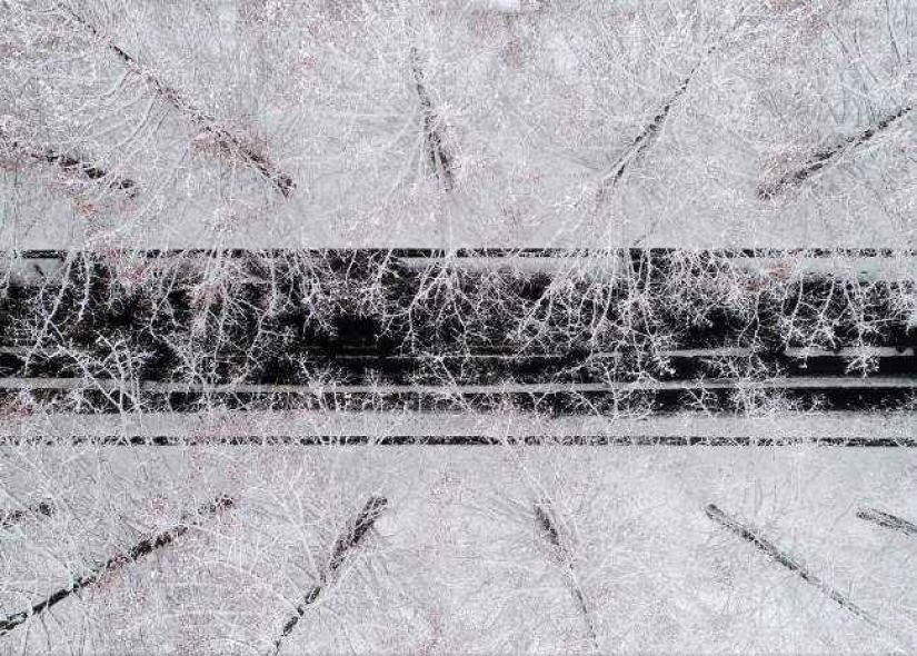 35 photo contest "Best picture of nature" from National Geographic 35 photo contest "Best picture of nature" from National Geographic