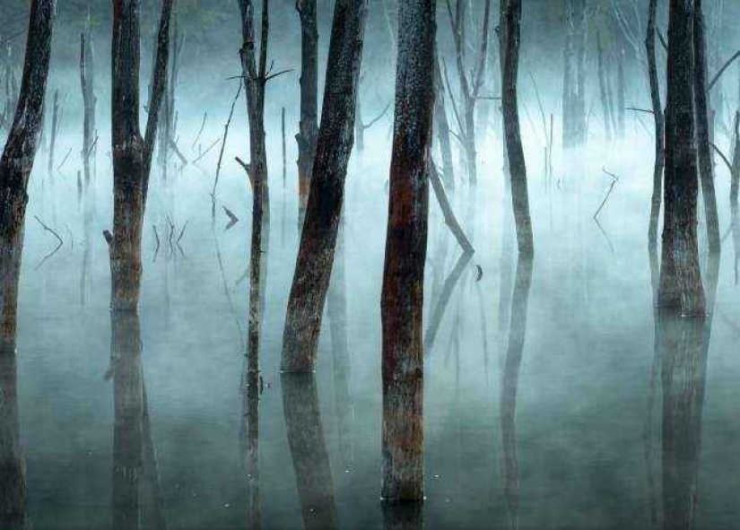 35 photo contest "Best picture of nature" from National Geographic 35 photo contest "Best picture of nature" from National Geographic