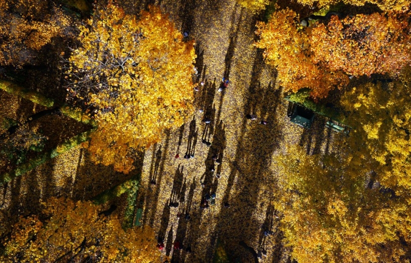 37 photos that will be able to do with unmanned drone