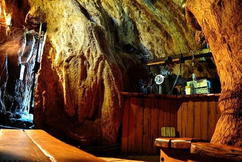 5 estructuras inusuales en los árboles gigantes