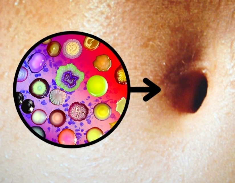 5 hechos increíbles sobre nuestro cuerpo