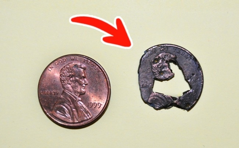 5 incredible facts about our body