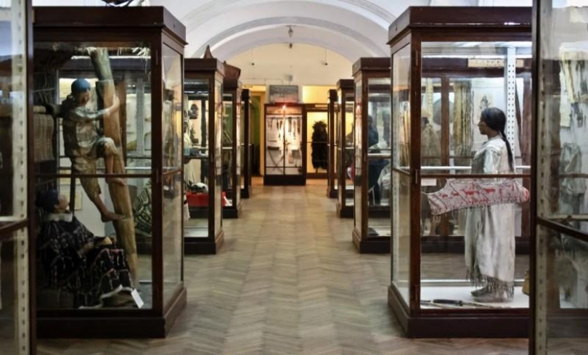6 most shocking anatomical museums in the world 6 most shocking anatomical museums in the world