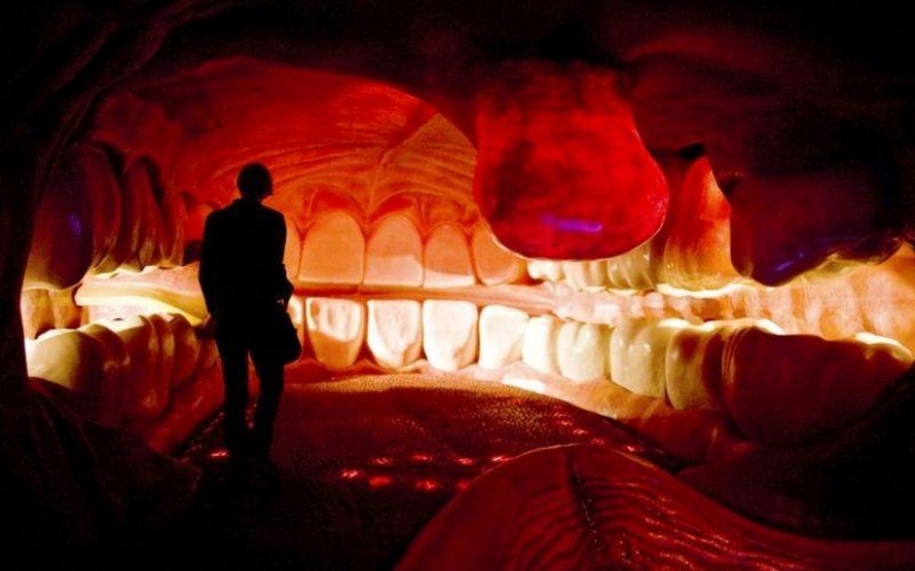 6 most shocking anatomical museums in the world 6 most shocking anatomical museums in the world