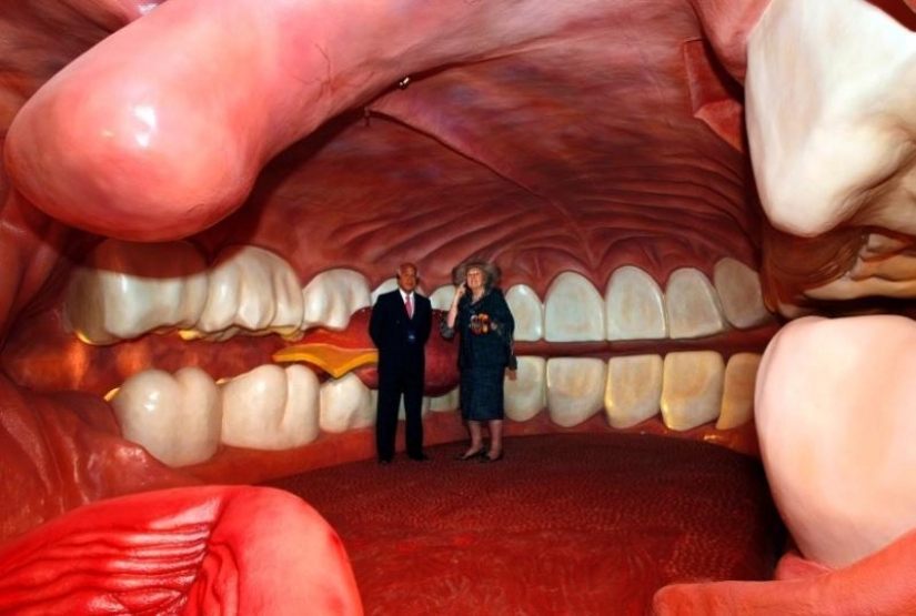 6 most shocking anatomical museums in the world 6 most shocking anatomical museums in the world