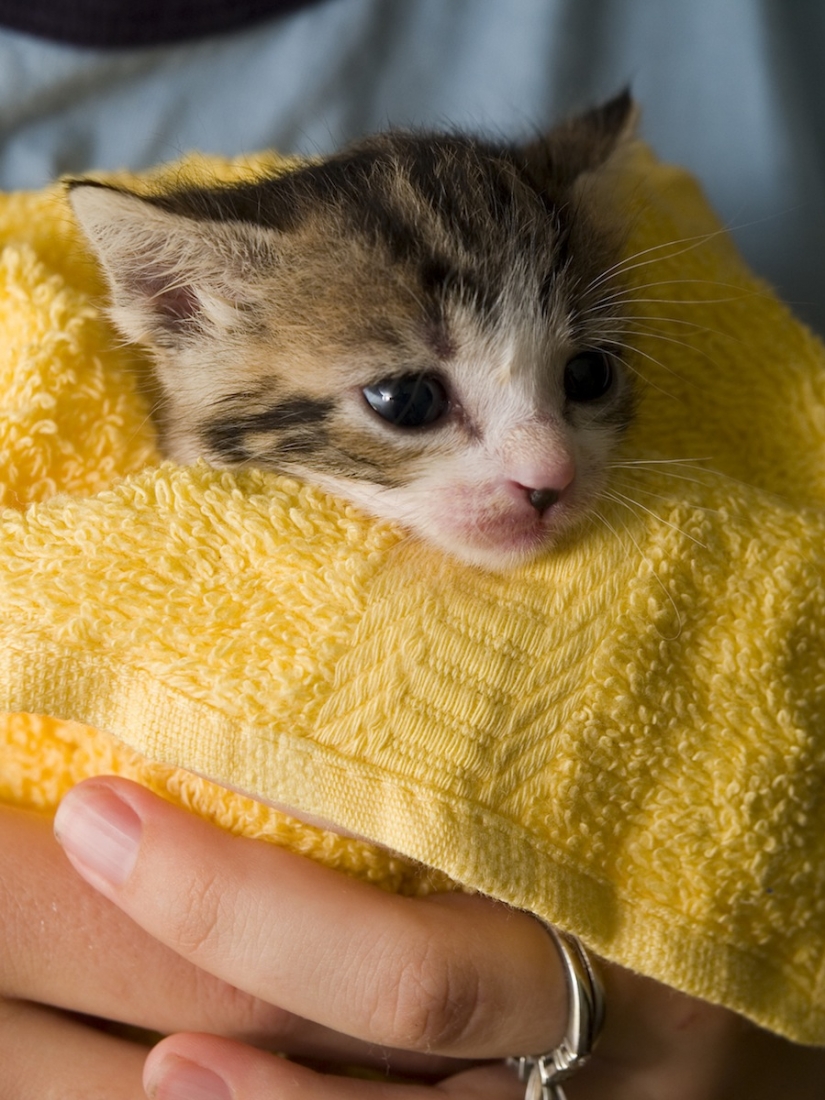 8 útiles de formas alternativas de uso de la cinta adhesiva 8 útiles de formas alternativas de uso de la cinta adhesiva