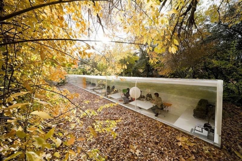 9 most amazing offices from around the world