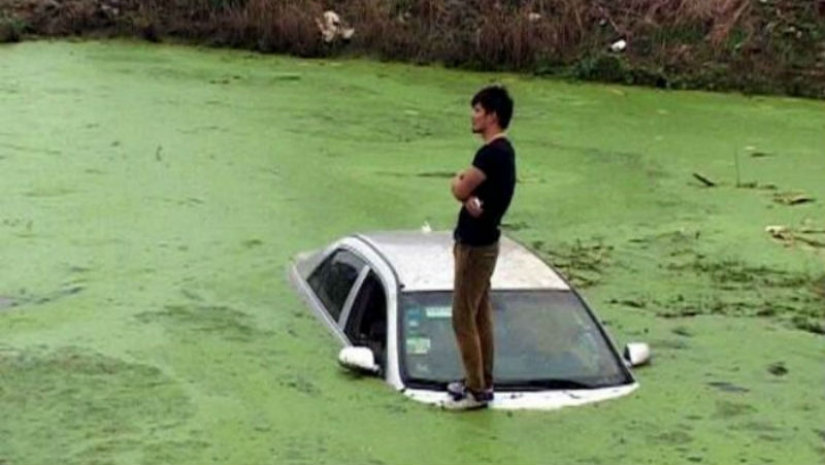 9 most common dreams and their meanings according to the famous psychologist 9 most common dreams and their meanings according to the famous psychologist