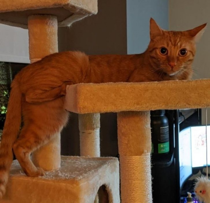 9 photos proving that animals are an eternal source of happiness 9 photos proving that animals are an eternal source of happiness