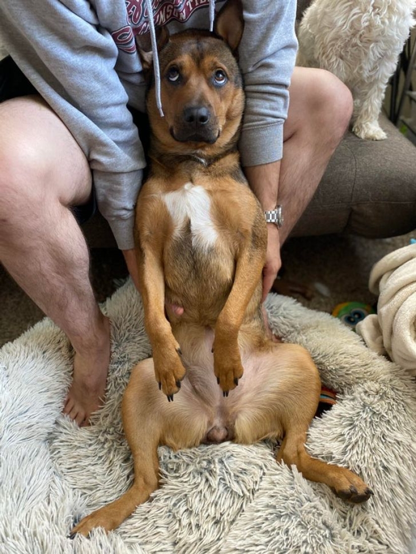 9 photos proving that animals are an eternal source of happiness 9 photos proving that animals are an eternal source of happiness