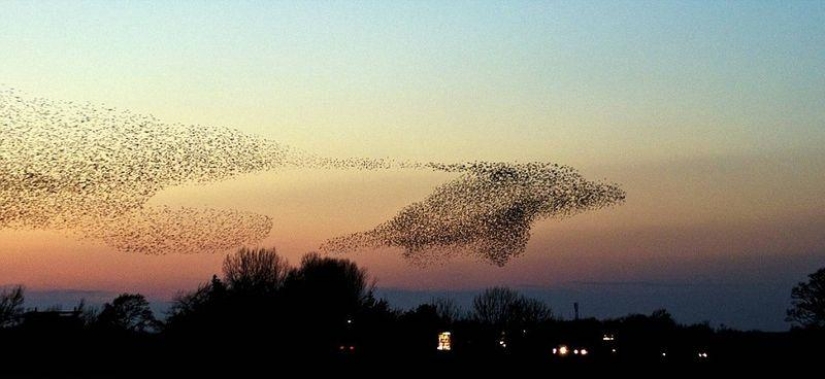 9 unbelievable moments caught in a frame