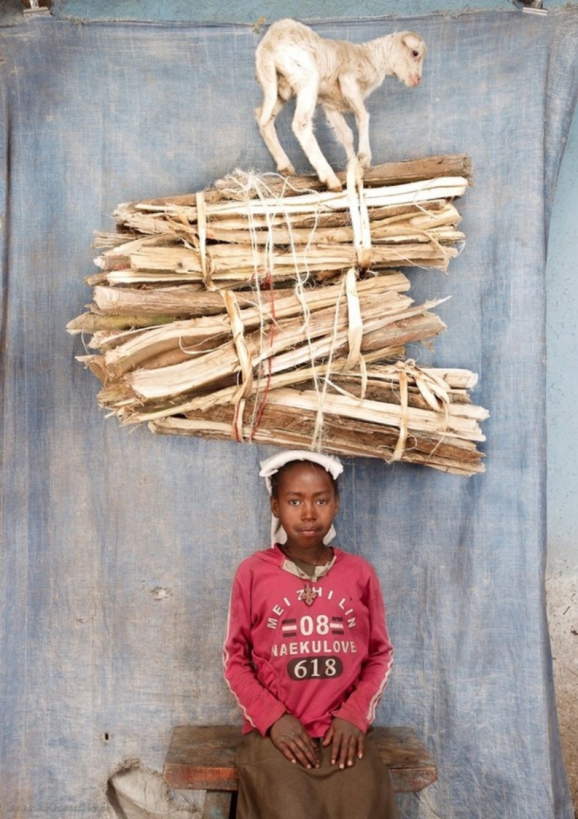 A la cabeza de la obra A la cabeza de la obra