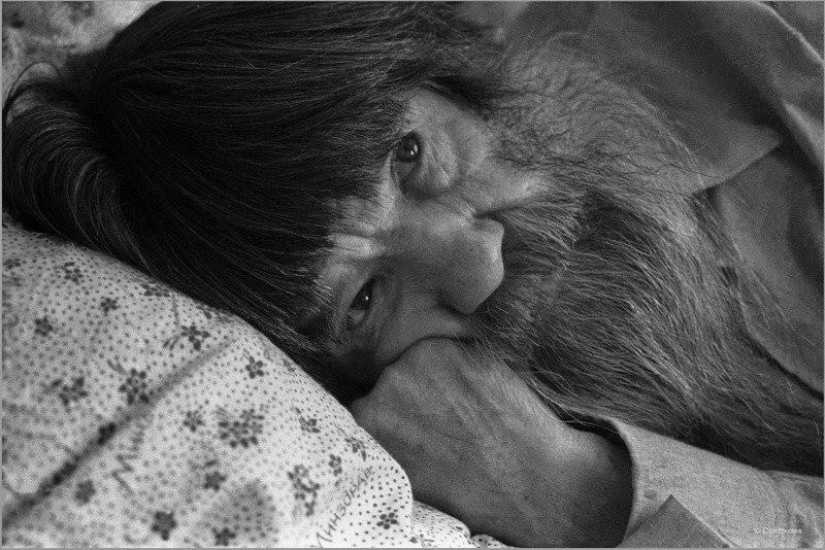 A lost "Golden age": 44 documentary photos by Vladimir Sokolaev A lost "Golden age": 44 documentary photos by Vladimir Sokolaev