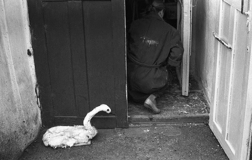 A lost "Golden age": 44 documentary photos by Vladimir Sokolaev A lost "Golden age": 44 documentary photos by Vladimir Sokolaev
