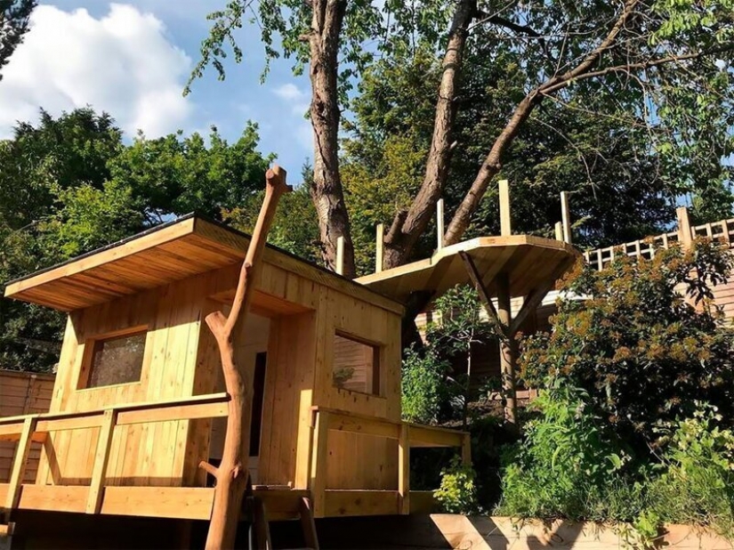 A mi hija le encantó! La casa del árbol de tablas viejas, que fue construido por un padre que cuida
