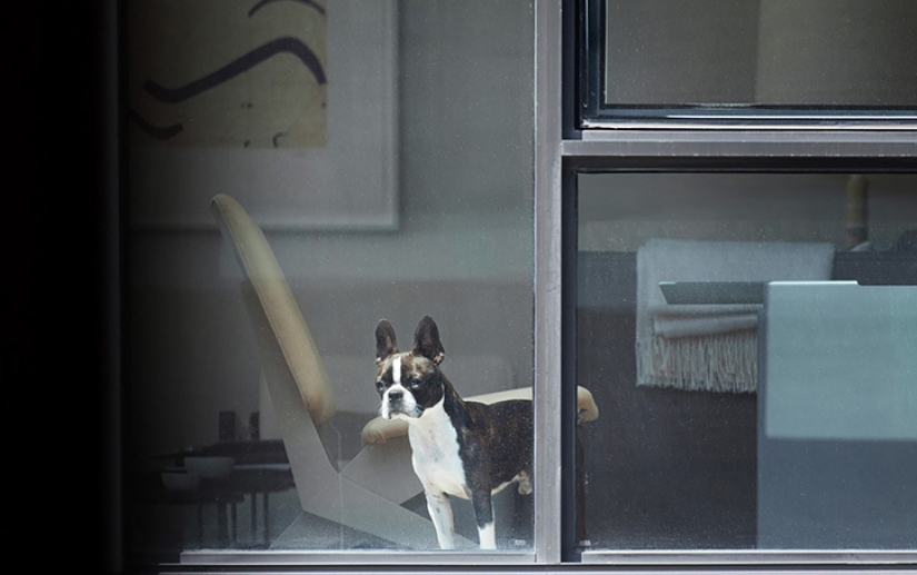 A photographer secretly watching his housemates and removes them