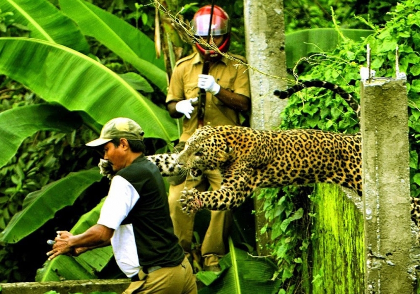 A second before. Part 2 A second before. Part 2