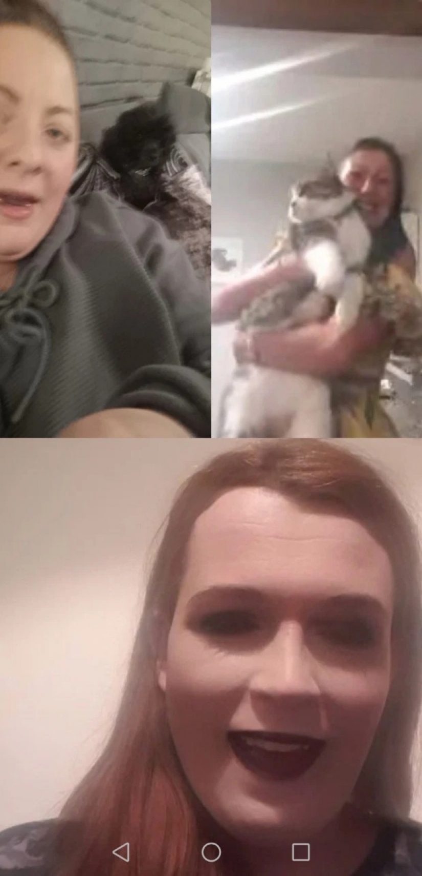 A virtual bachelorette party: police arrived on the complaint of the neighbors and found the apartment online party A virtual bachelorette party: police arrived on the complaint of the neighbors and found the apartment online party