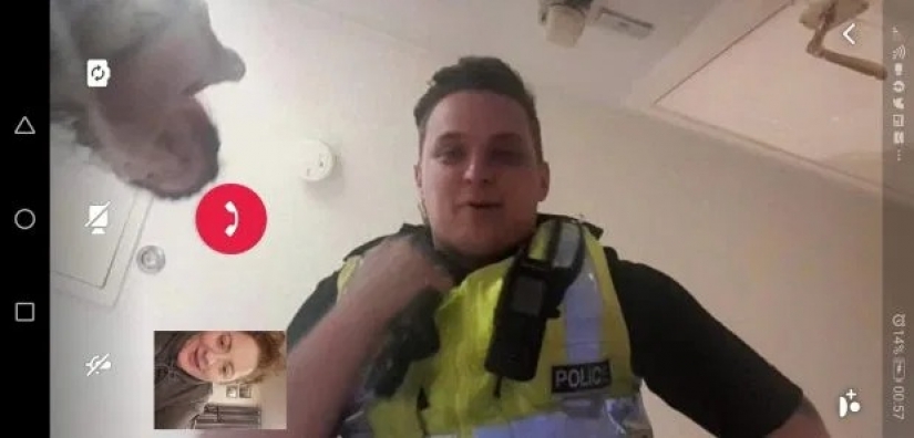 A virtual bachelorette party: police arrived on the complaint of the neighbors and found the apartment online party A virtual bachelorette party: police arrived on the complaint of the neighbors and found the apartment online party