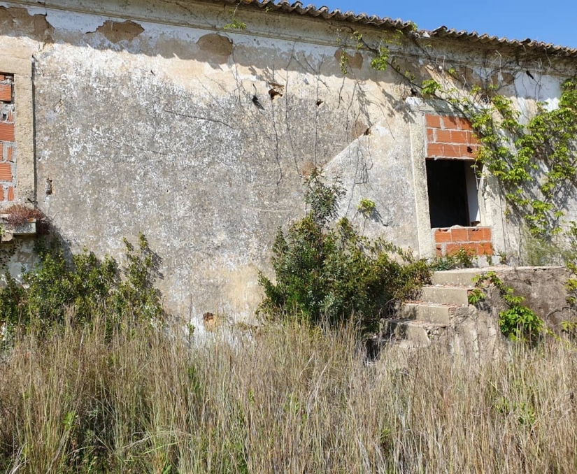 Absoluta ilusión: como un artista de la calle apodado Vil "rompe" la pared