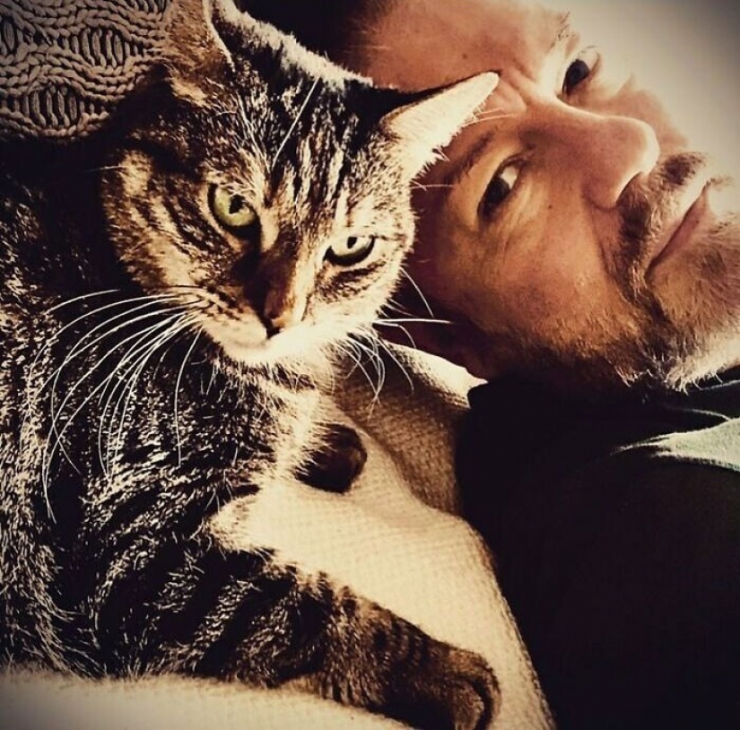 Actor Ricky Gervais thought to take the cat to overexposure, but she changed his plans