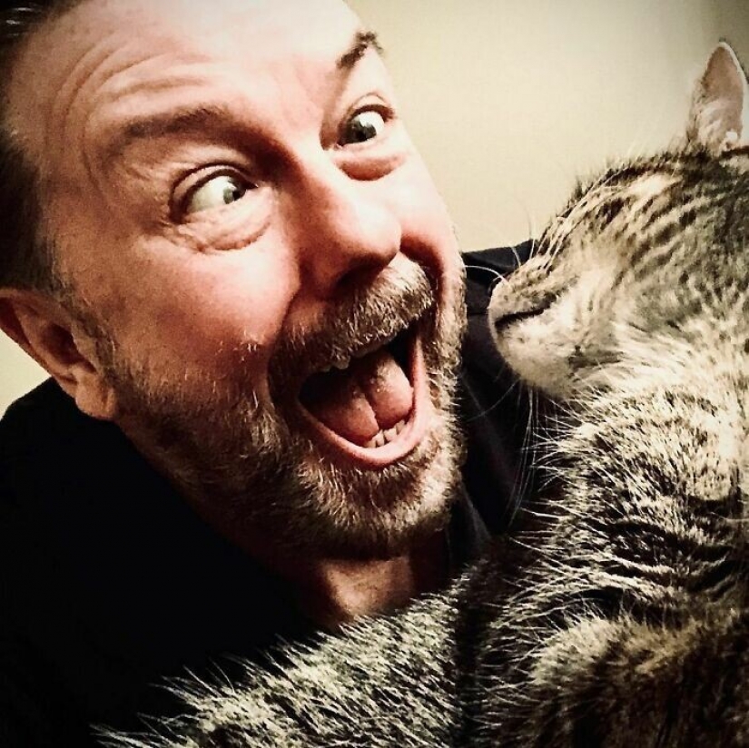 Actor Ricky Gervais thought to take the cat to overexposure, but she changed his plans