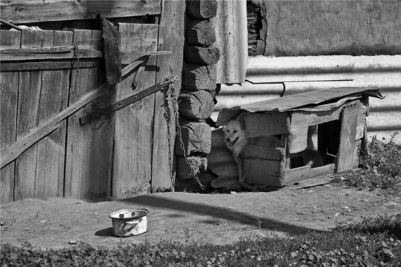 "Adiós, olvidado de Rusia!": ¿por qué un fotógrafo de Bryansk alivia la desaparición de la aldea "Adiós, olvidado de Rusia!": ¿por qué un fotógrafo de Bryansk alivia la desaparición de la aldea