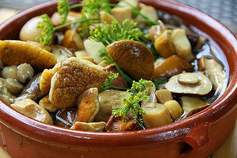 "Adults eat this vodka — so delicious": foreigners about Russian cuisine