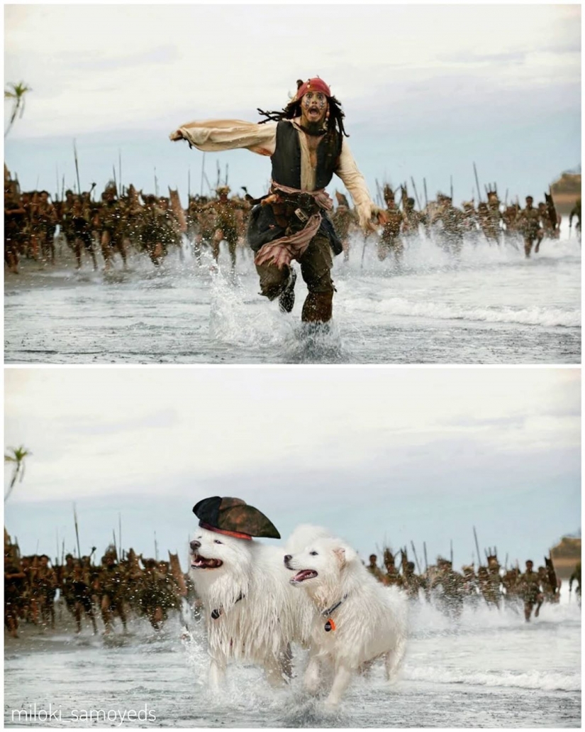 Ahora sabemos cómo se vería el Terminador si jugó Samoyedo Ahora sabemos cómo se vería el Terminador si jugó Samoyedo