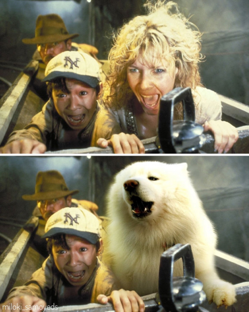 Ahora sabemos cómo se vería el Terminador si jugó Samoyedo Ahora sabemos cómo se vería el Terminador si jugó Samoyedo