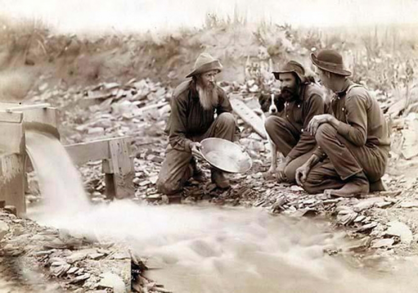 Alaska se convirtió en nuestro y por qué fue vendido a los Americanos Alaska se convirtió en nuestro y por qué fue vendido a los Americanos