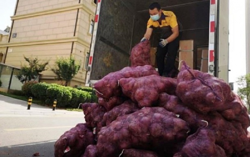 Amarga venganza: en China, la chica le ordenó el chico de la casa un montón de cebollas