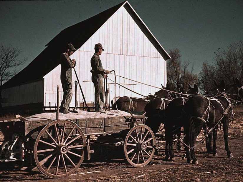 America during the first economic crisis America during the first economic crisis