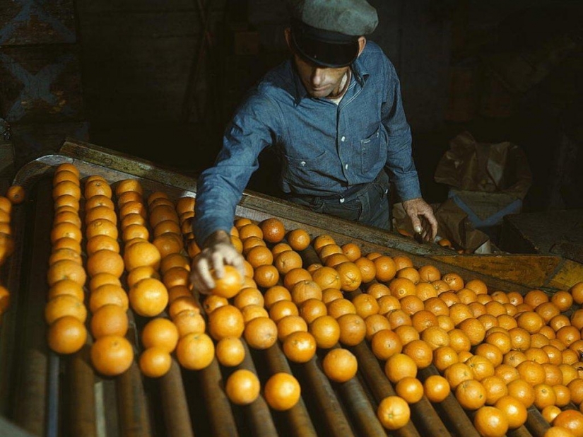America during the first economic crisis America during the first economic crisis