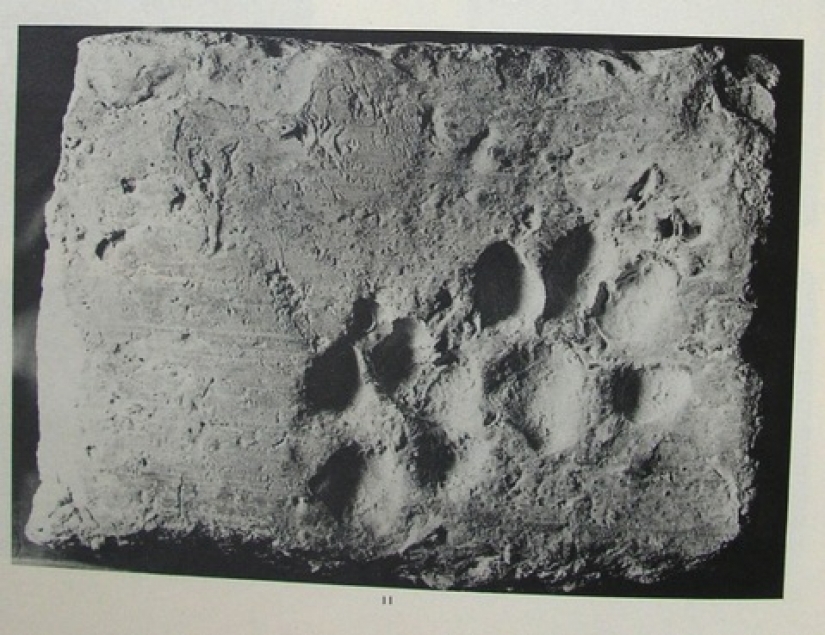 As cats in history, heritage