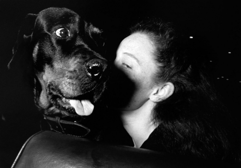 As famous a cab driver from new York