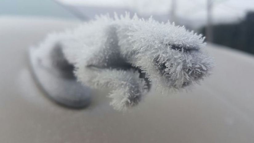 As frost turns the car into art