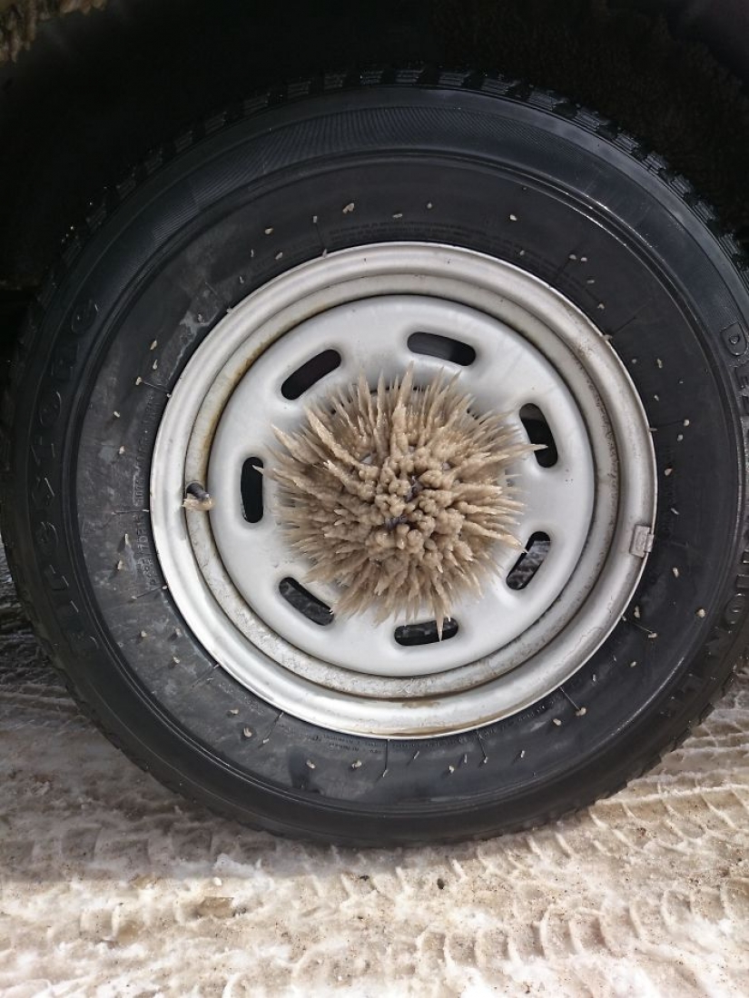 As frost turns the car into art