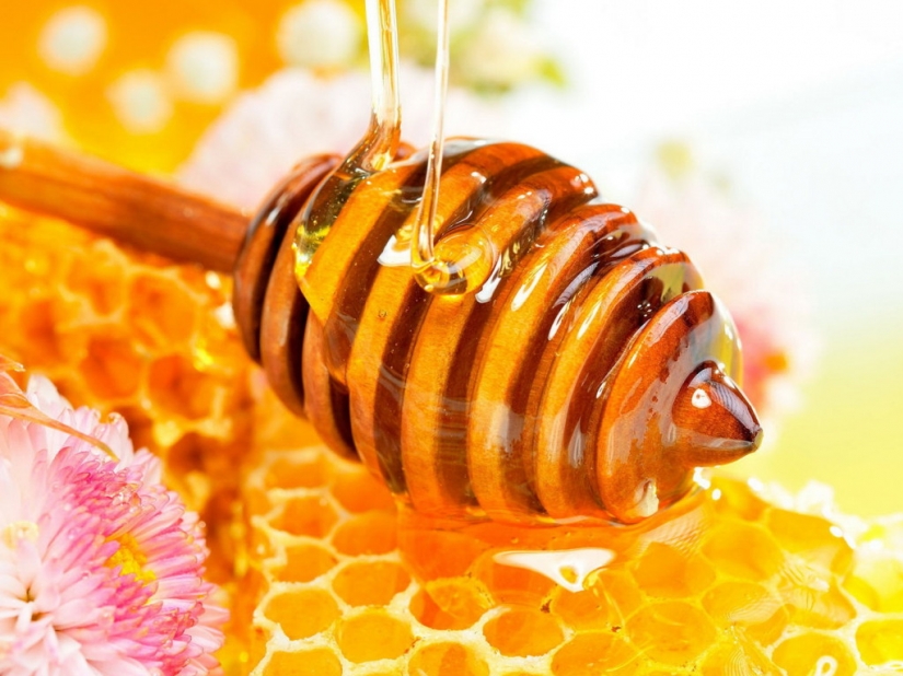 As the food industry forges products