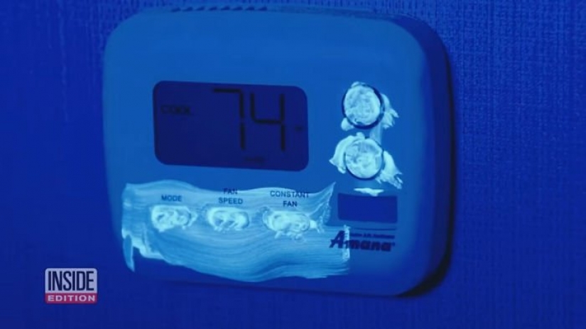 As the hotels follow the rules of hygiene in 2020? The TV reporters checked, the results are disappointing As the hotels follow the rules of hygiene in 2020? The TV reporters checked, the results are disappointing