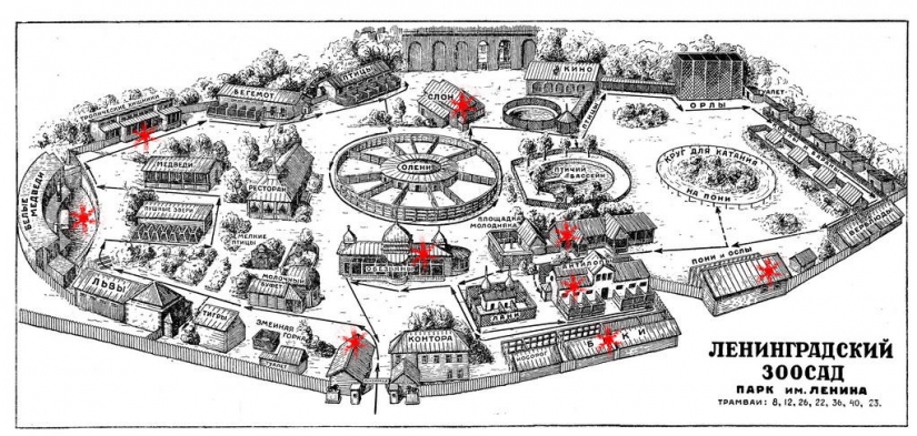 As the Leningrad zoo survived the siege As the Leningrad zoo survived the siege