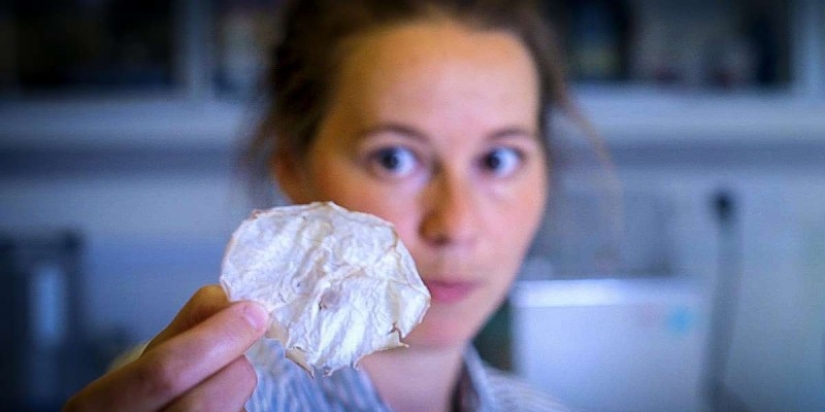 Astrofiziki inventado una nueva forma de hacer las fichas de las medusas Astrofiziki inventado una nueva forma de hacer las fichas de las medusas