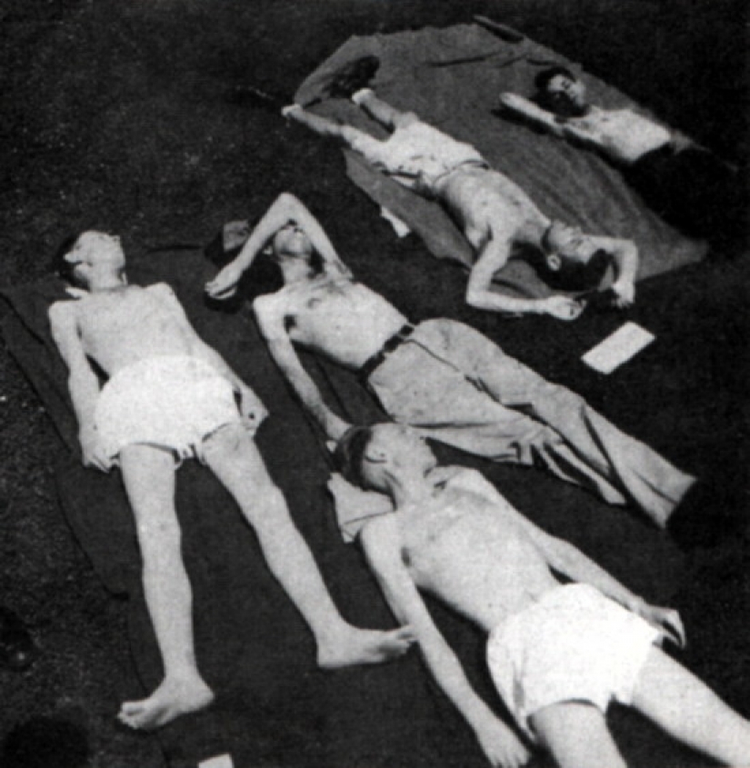 Ayuno voluntario: lo que terminó el experimento de Minnesota, 1944 Ayuno voluntario: lo que terminó el experimento de Minnesota, 1944