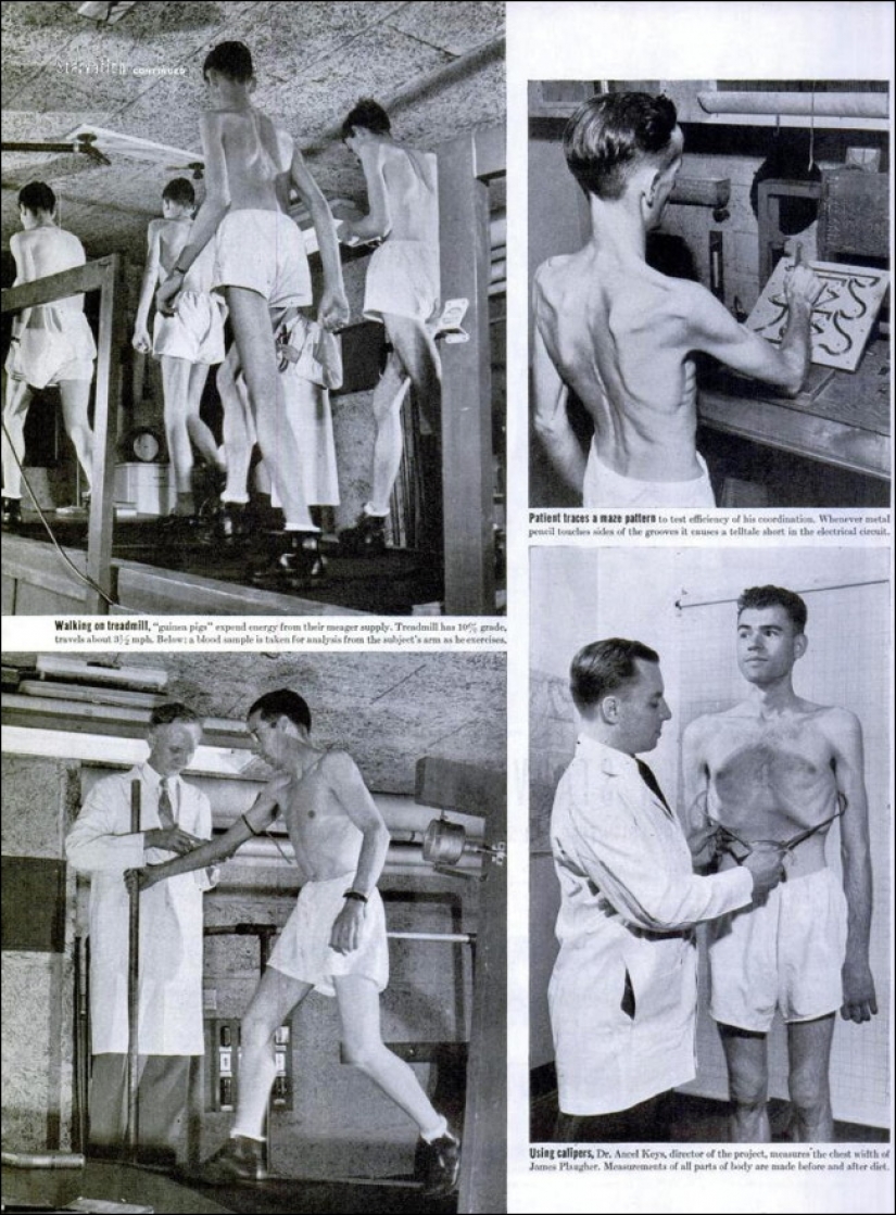 Ayuno voluntario: lo que terminó el experimento de Minnesota, 1944 Ayuno voluntario: lo que terminó el experimento de Minnesota, 1944